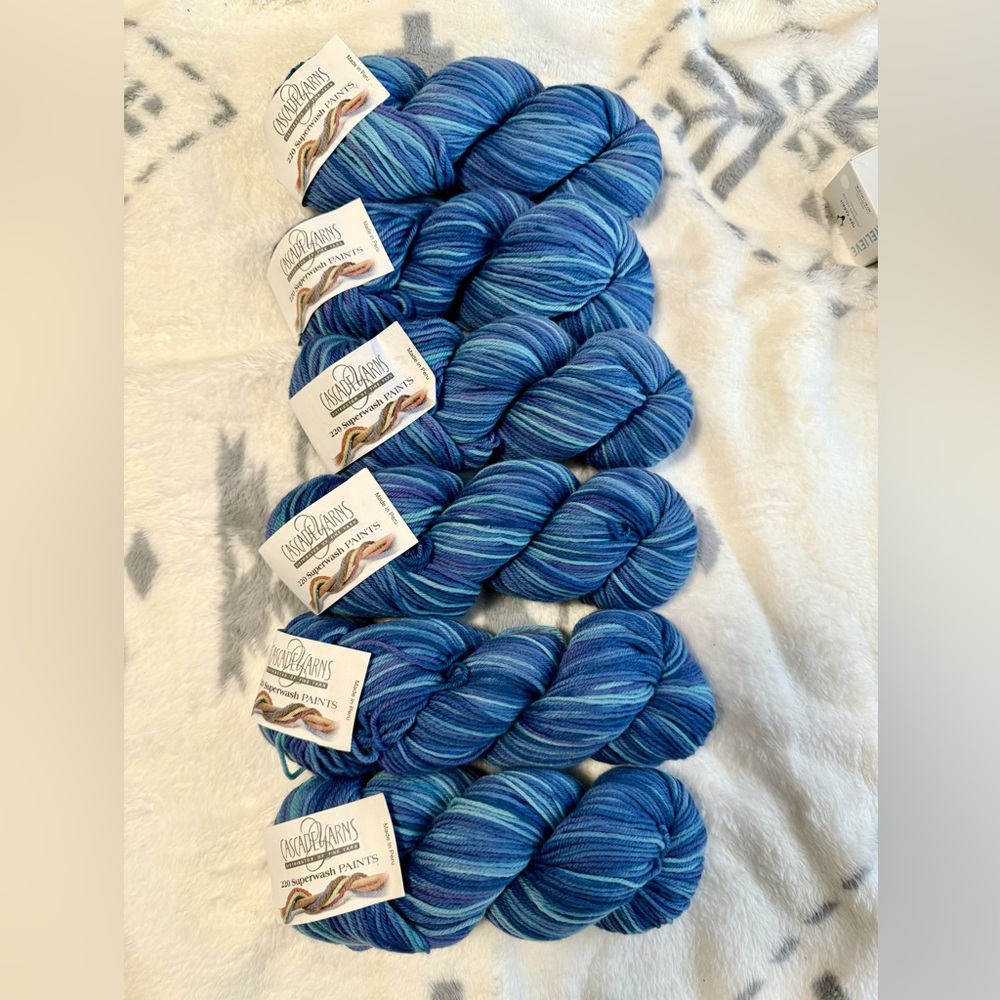 NWT CASCADE YARNS 220 Superwash paints 6 SKEINS